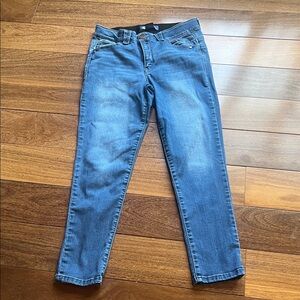 Democracy Blue Straight Leg Jeans